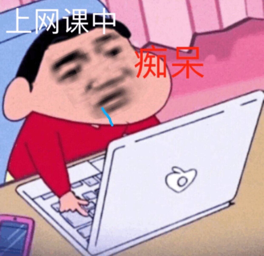 上网课