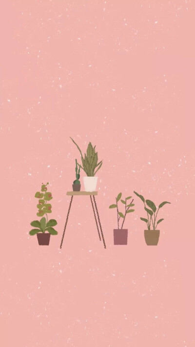 今日分享|壁纸
粉色系壁纸 | 1⃣️
图源来自网络