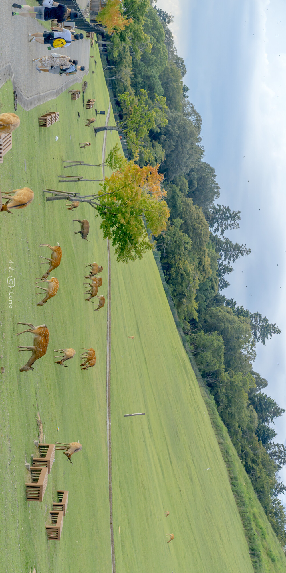 也太喜欢了这个绿简直不要太好看
VB：@小武拉莫
