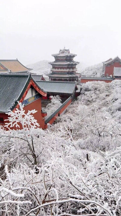 【原创】《伤别离》
春风送百花
木棉绕橡树
根茎相交
藏于深土里
无言转身话别离
泪未尽身远去
殇
佛袖情断肠
陌上花开人不归
流年已逝
忆
沧桑几许
离人遇
草木尽萧疏
泪眼婆娑望背影
一声叹息
夏炽冬雪一相容…