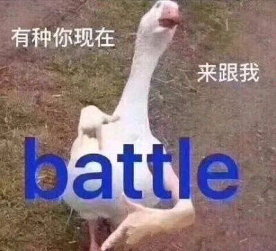 鹅鹅