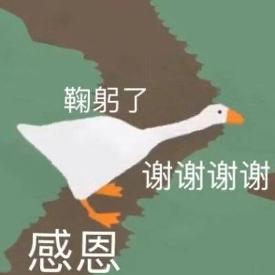 宝宝