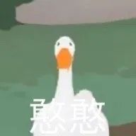 宝宝