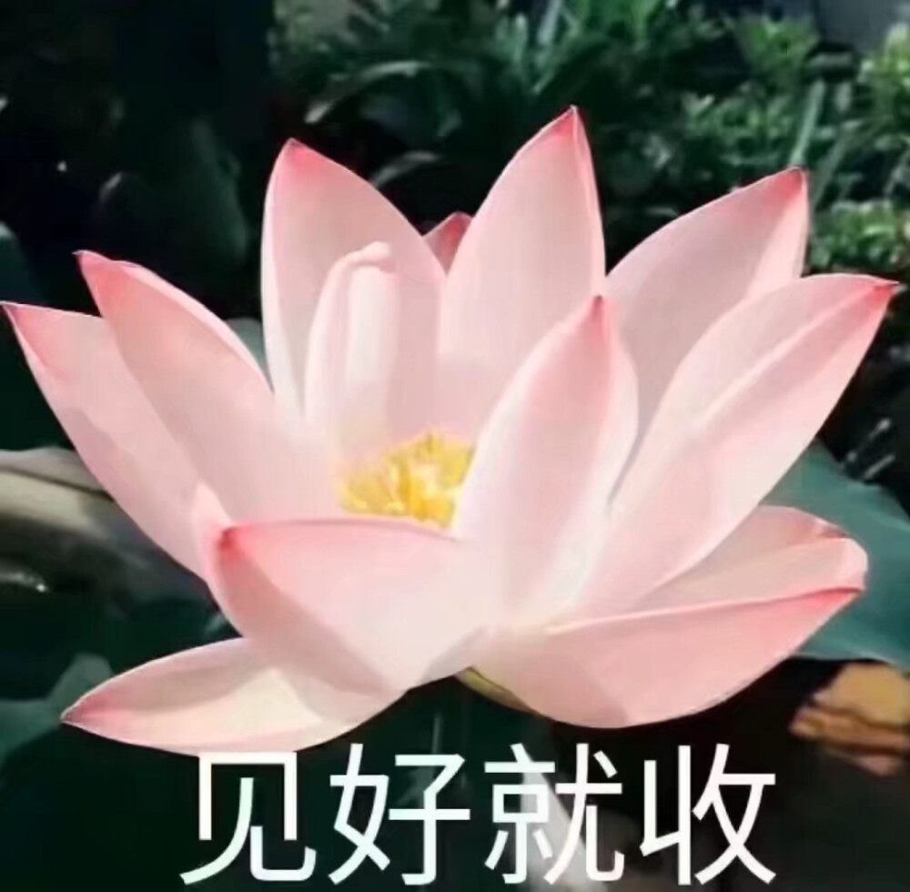 沙雕闺头［偷笑］