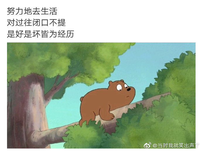 微博 小熊三贱客