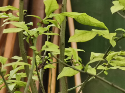 我们总是放大别人的恶
从而缩小（弱化）自己的恶