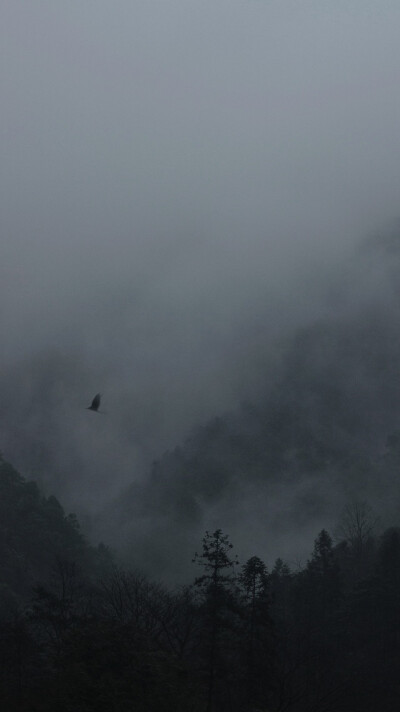 更多美图关注公众号：东琐西碎
春雨
p1-2:@月下黄昏
p3:@苗岭山人
p4:@宋宋iz
p5:@西瓜英雄
p6:@小神鹿的小神驴
p7:@王小多
p8:@存心
p9:@约翰馬