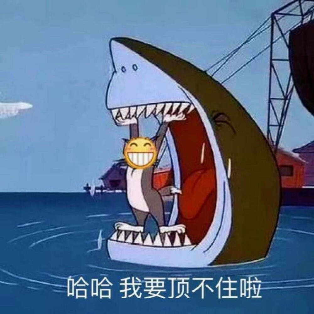 你给我听好。想哭就要笑