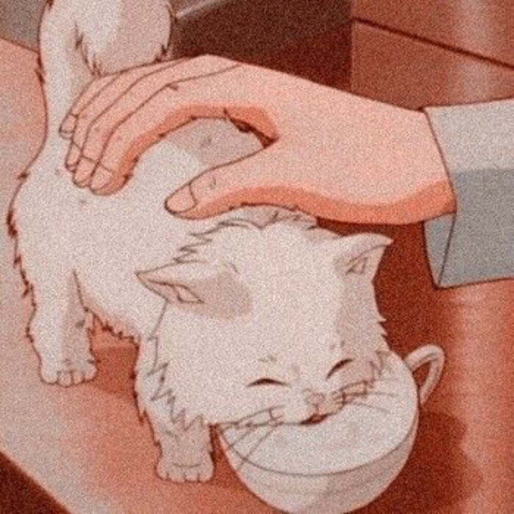 偶尔会感到遗憾，不经意间错过了许多