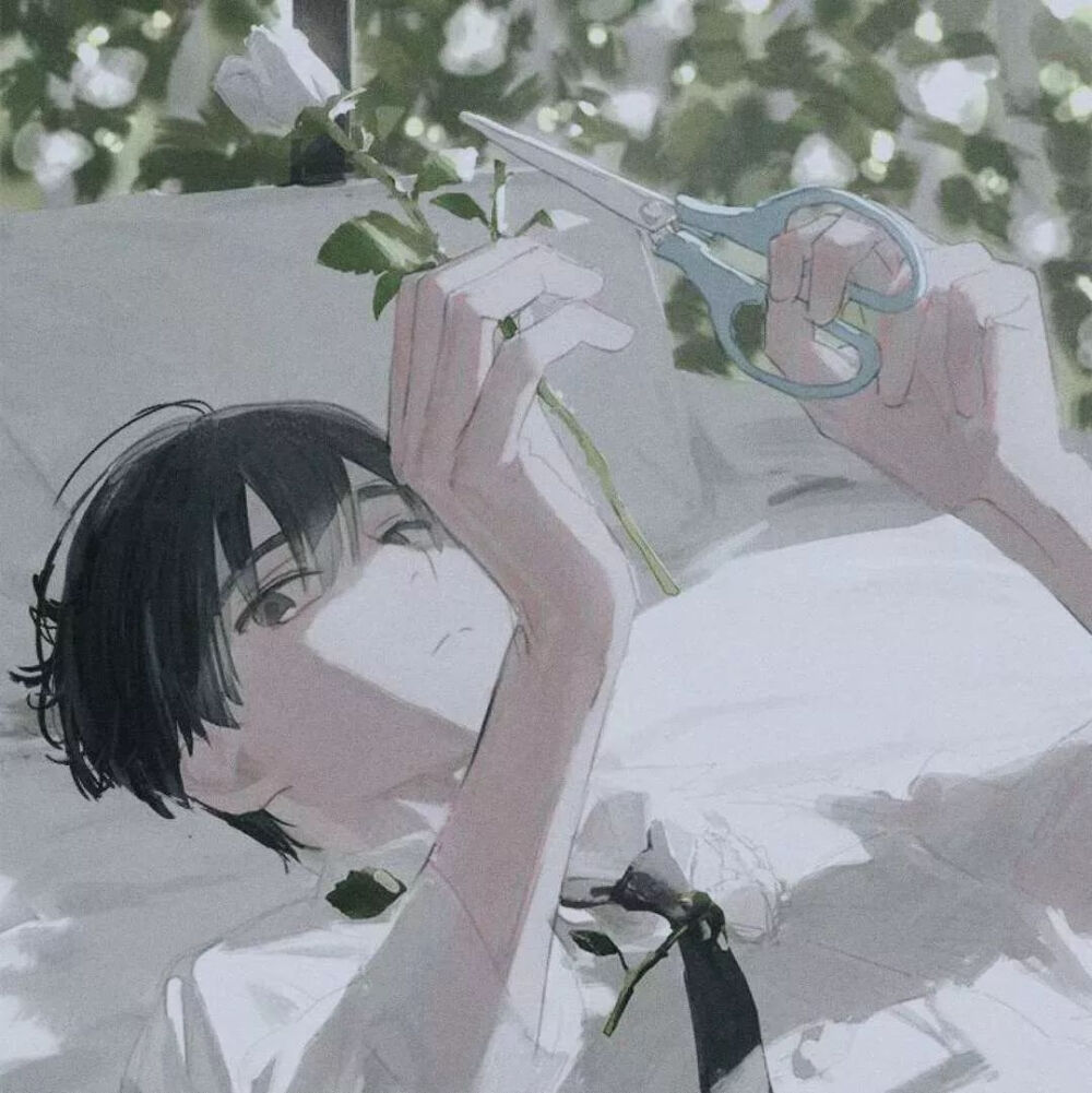 头像+背景