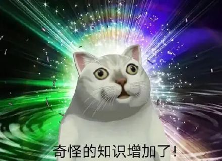 奇怪的知识增加了（高清憨憨猫 MUR猫表情包）