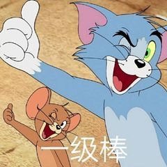 一级棒（猫和老鼠表情包）