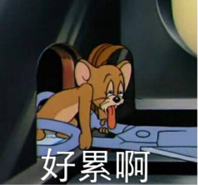 《猫和老鼠》杰瑞表情包：好累啊