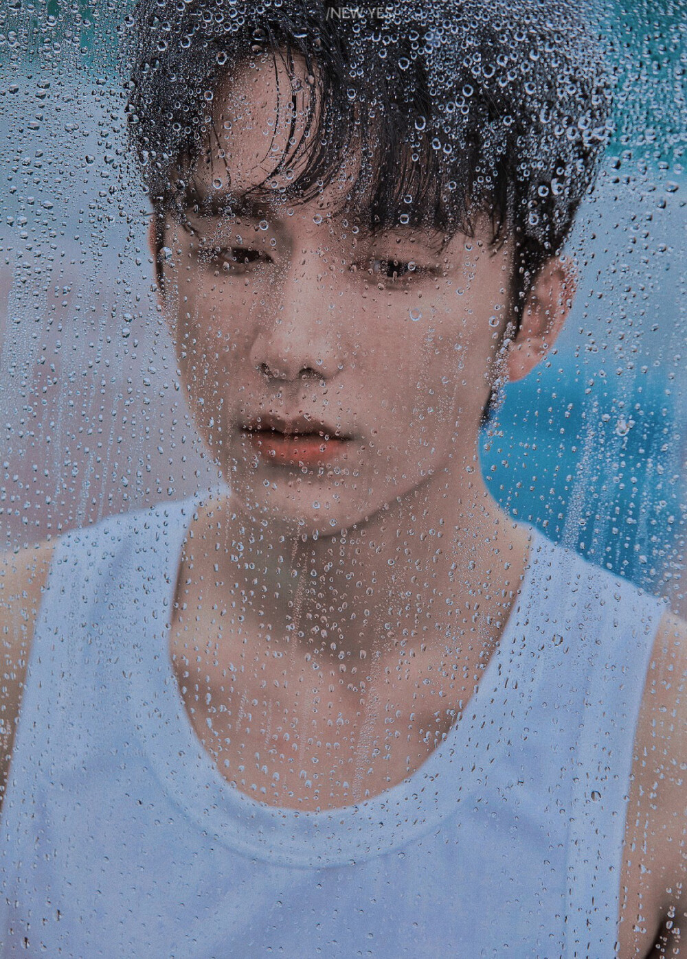 张新成 堆糖，美图壁纸兴趣社区