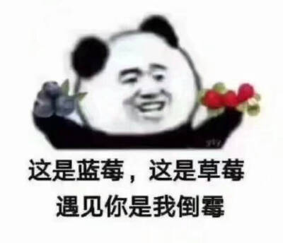 这是草莓
这是蓝莓
遇见你是我倒霉
