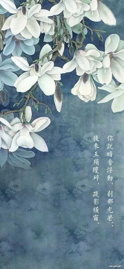 诗意壁纸