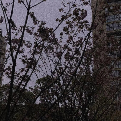 ♡
大概总有一个人在你的心底，你不愿想起，也无人提及