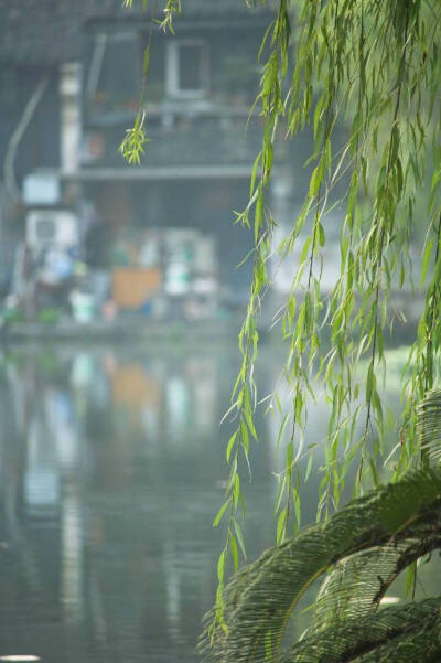 【原创】《幽径》
独自行芳径
春韵音悠扬
花香暗盈袖
心诗念远方
当歌须对酒
绵情牵柔肠
佳期浑如梦
长乐人未央
《偶遇》
春意正阑珊
偶遇廊桥边
桃花影秀丽
芳姿动心弦
许下满池愿
相约共余年
惜缘情愉悦
回眸笑嫣…