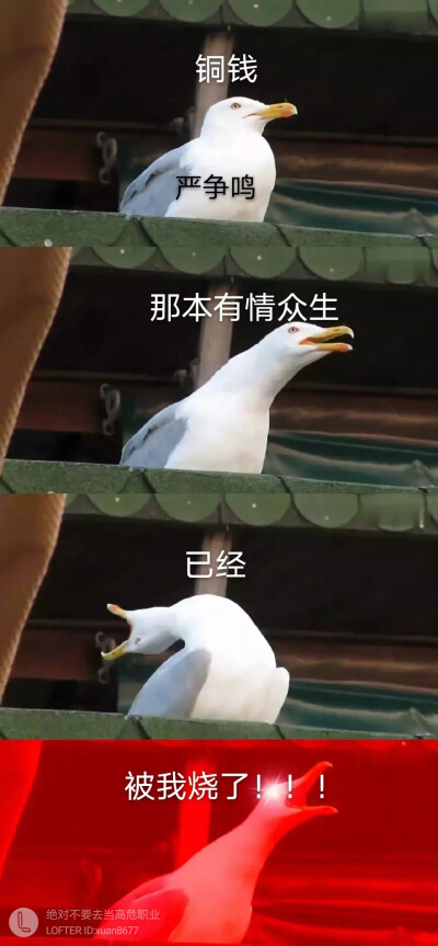 哈哈