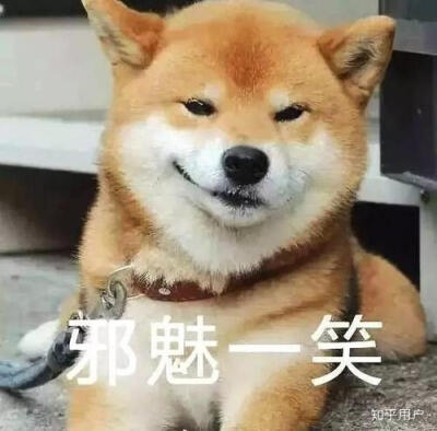 狗头