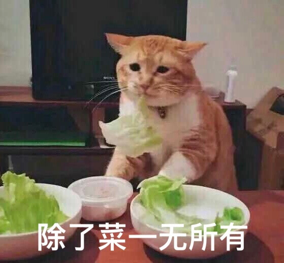 猫猫表情包 除了菜 一无所有