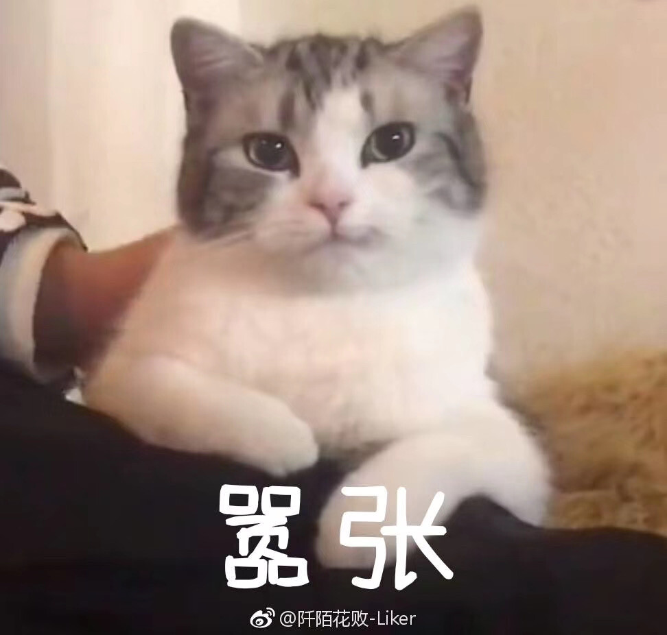 猫猫表情包 嚣张