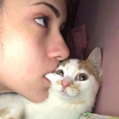 猫：我当时害怕极了