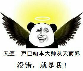 天空一声巨响本大帅从天而降没错就是我