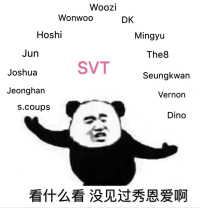 seventeen表情管理