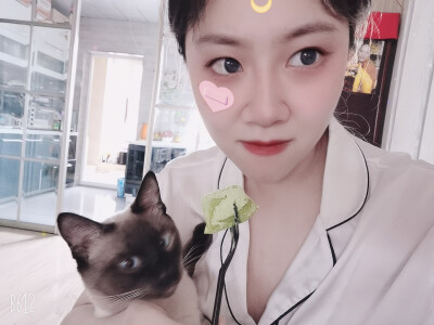 小馋猫莫非你是要抢走我手里的千层蛋糕