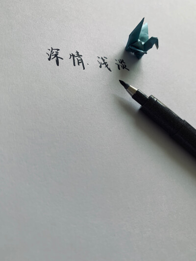 十年前的纸鹤依然如初
纸鹤里的文字已不得而知
随之而去的是当初的悸动
留下和并将伴随的是
那些封存起来的文字回忆
愿安好
愿长久
