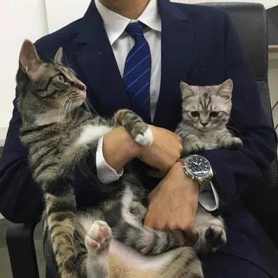 【男头像杂烩】男生头像#遮挡#宠物#唯美韩国#小清新#伤感#帅气#高清#暖男#欧美#霸气ᵎ鲜肉#By沐晴