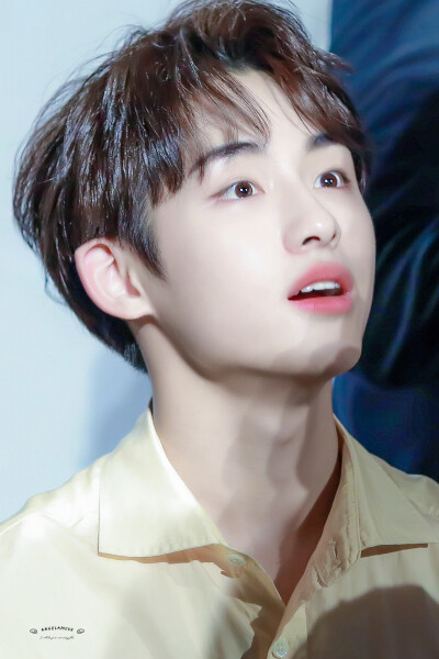 威神V
WinWin董思成