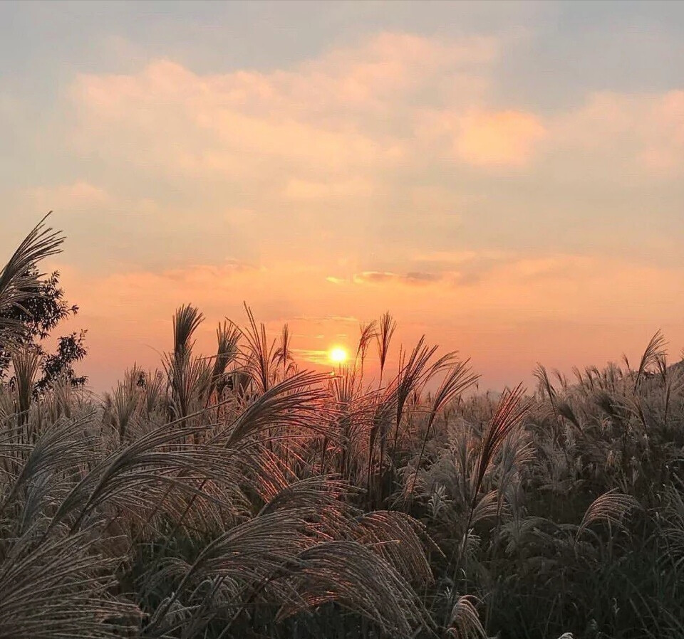 聊天背景