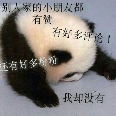 我用过的好看女头