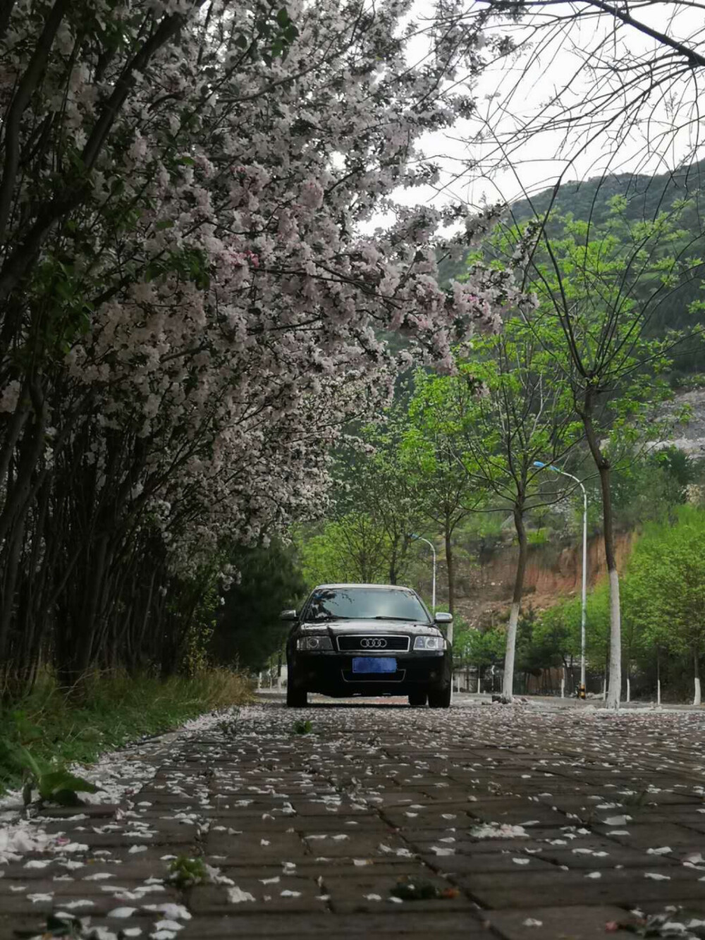 寻一方境地，看春色，赏花开，成景，空气中都充满了淡淡的清香；停留在一处，等风来，观花落，成雨，四周都弥漫着泥土的芬芳，一张照片，感受人间美好，四月风光……