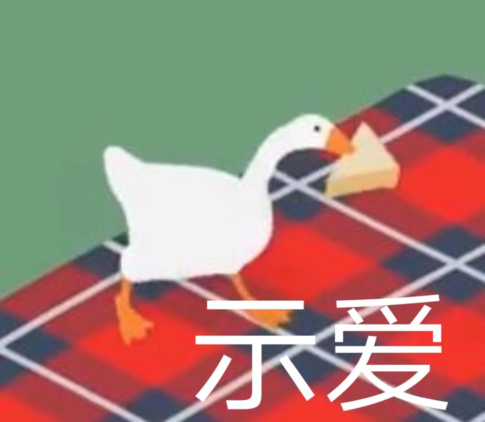 大鹅