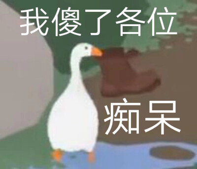 大鹅