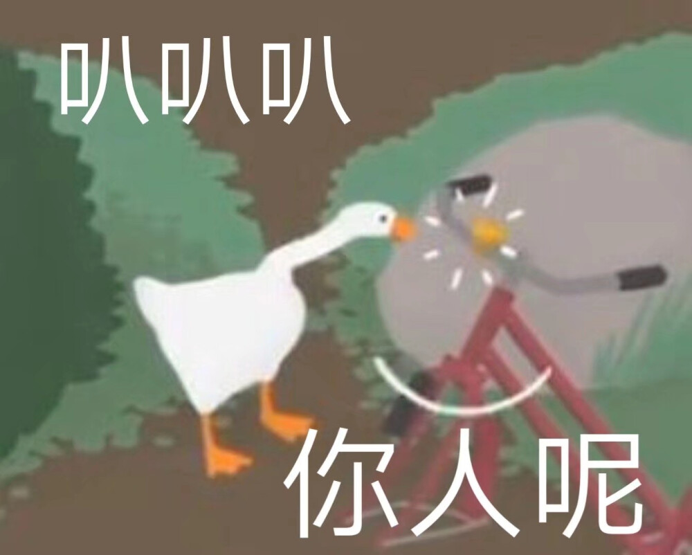 大鹅