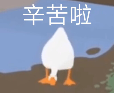 大鹅