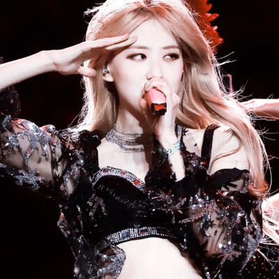 rosé/原©firstloverose
禁一切