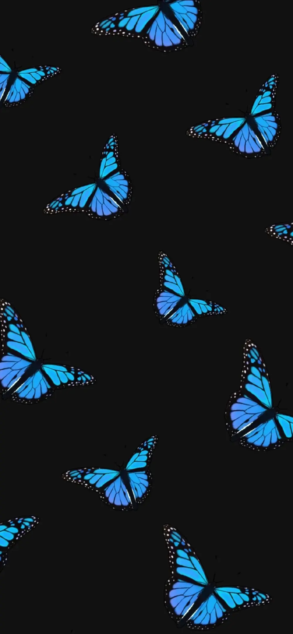 黑色潮酷壁纸蝴蝶
晚，侵删致歉