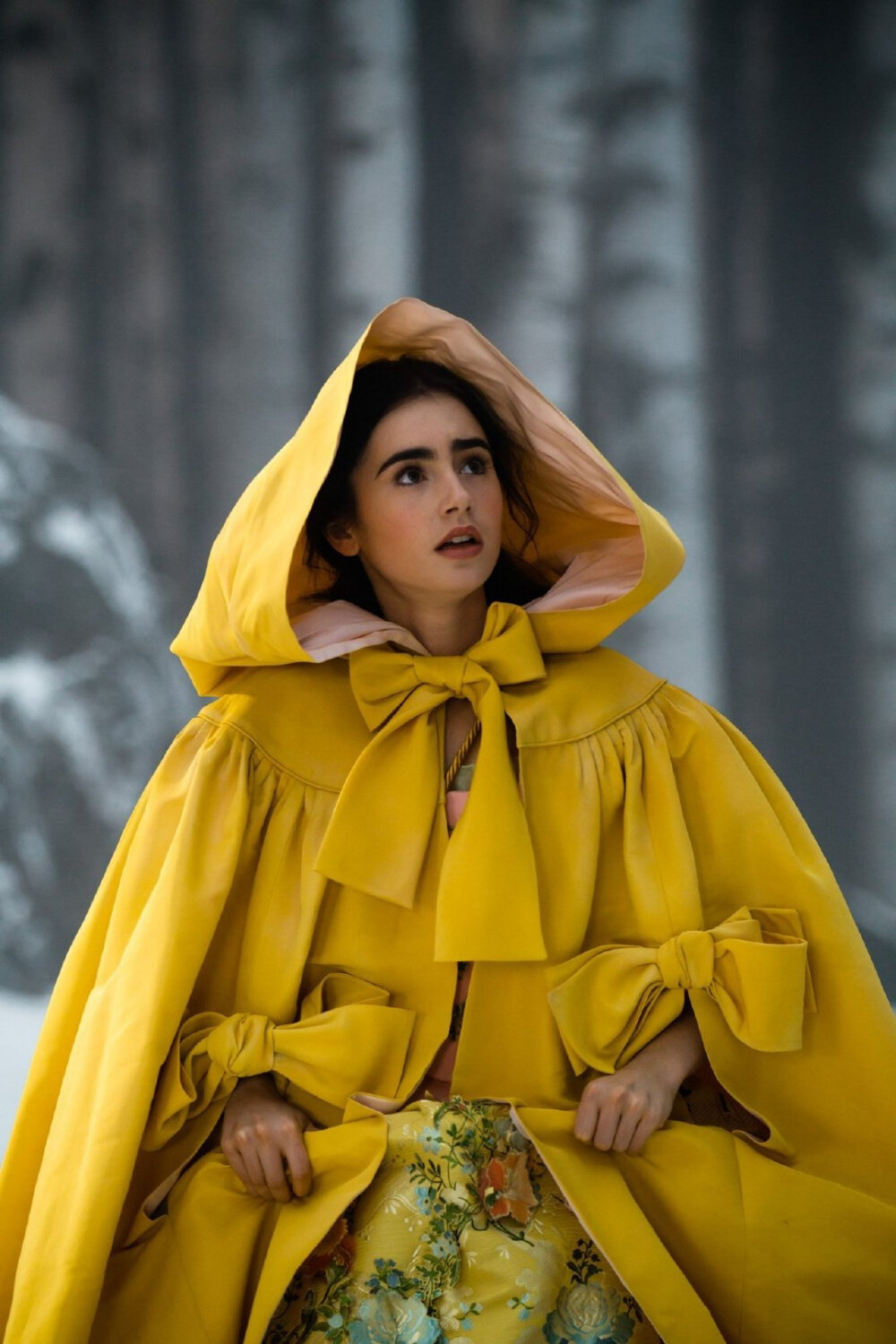 莉莉.柯林斯
Lily Jane Collins
《白雪公主之魔镜魔镜》