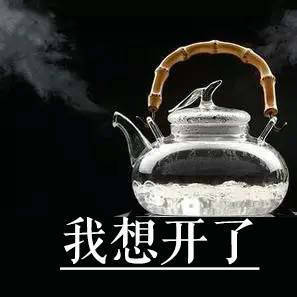 我想开了（烧水壶）