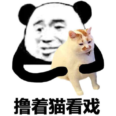 撸着猫看戏！