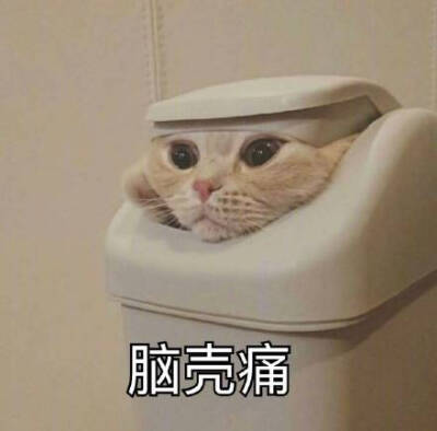 脑壳痛