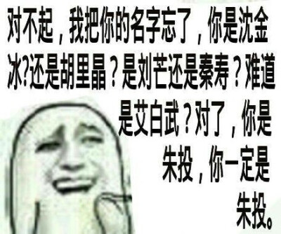 对不起，我把你的名字忘了，你是沈金冰还是胡里晶？是刘芒还是秦寿？难道是艾白武？对了你是朱投，你一定是