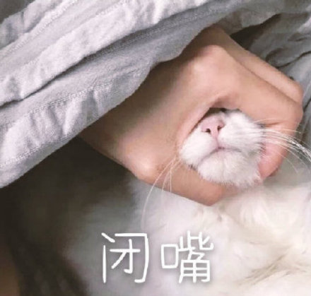 闭嘴 捂嘴猫咪嘴巴