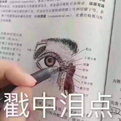 戳中泪点