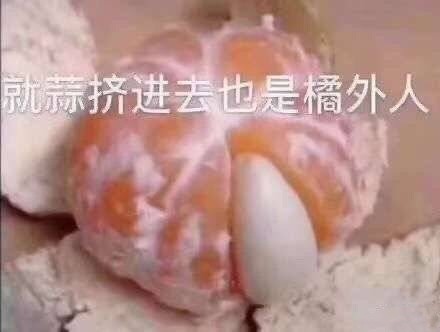 就蒜挤进去也是橘外人